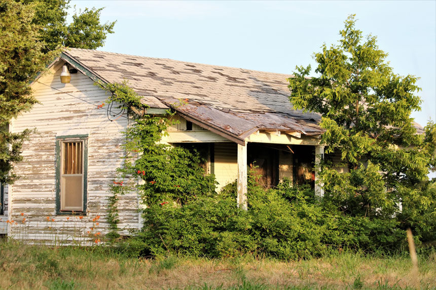 A run-down wooden home being reclaimed by the foliage around it.