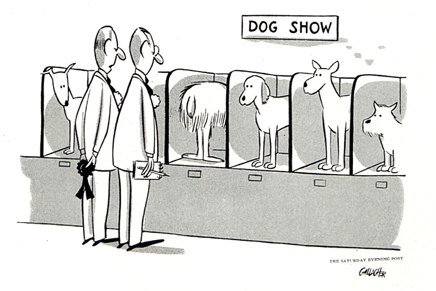 funny dog cartoons