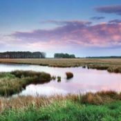 "Drenthe is so beautiful," Van Gogh wrote of the Dutch province, "it absorbs and fulfills me so utterly that, if I couldn't stay here forever, I would rather not have seen it at all. It's inexpressibly beautiful." Photo source: Shutterstock.com