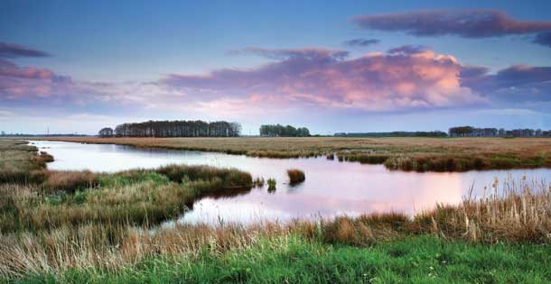 "Drenthe is so beautiful," Van Gogh wrote of the Dutch province, "it absorbs and fulfills me so utterly that, if I couldn't stay here forever, I would rather not have seen it at all. It's inexpressibly beautiful." Photo source: Shutterstock.com