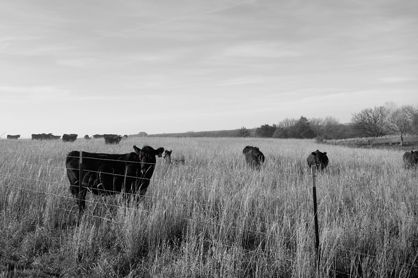 Haunted Kansas: An Unexpected Road Trip Through America’s Heartland | The Saturday Evening Post
