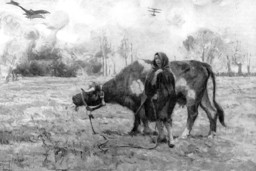Woman with a cow in a field