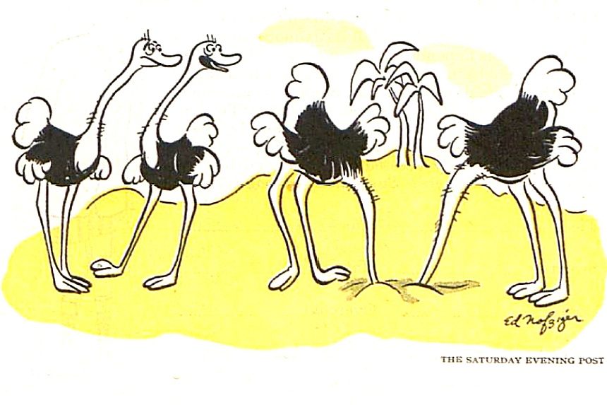 Cartoons: Wildly Funny Animals | The Saturday Evening Post