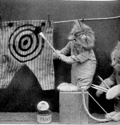 A kitten paints a bullseye on a pair of pants that hang on a laundry wire. Another kitten is gather arrows for his archery set.