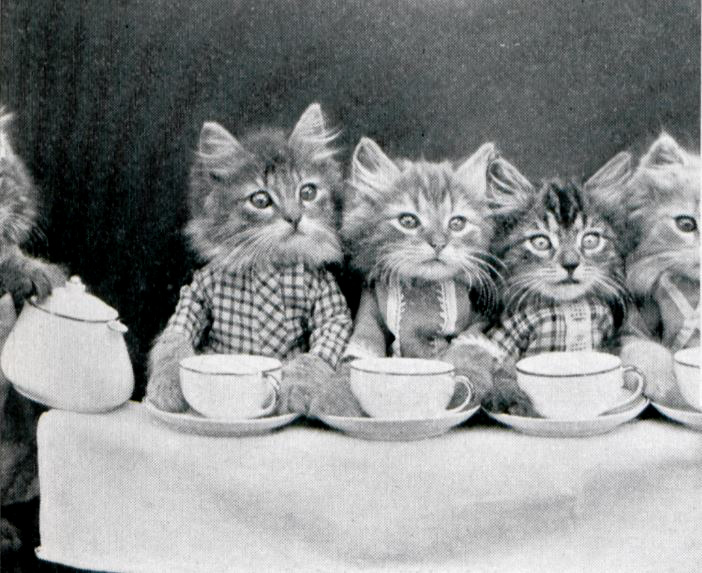 A momma cat pours tea for her little kittens. Each kitten has a little tea cup.