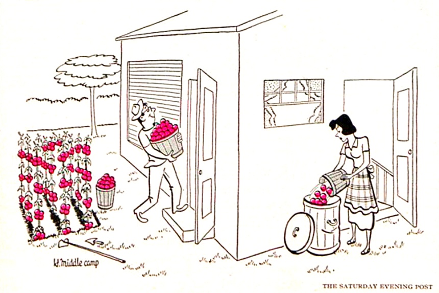 Cartoons: Pardon My Garden | The Saturday Evening Post - Vimarsana News