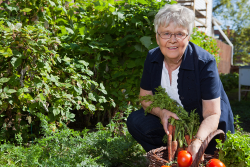 Woman gardening