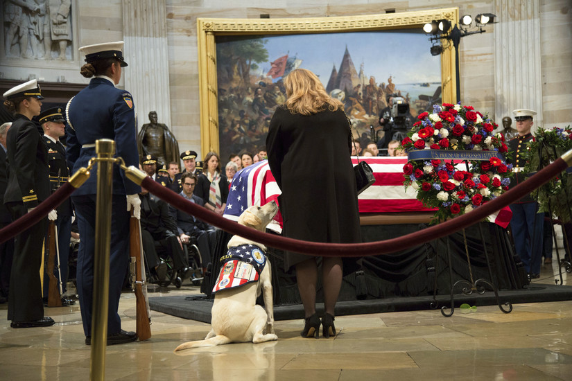 George H.W. Bush’s service dog, Sully, pays his respects. (Department of Defense )