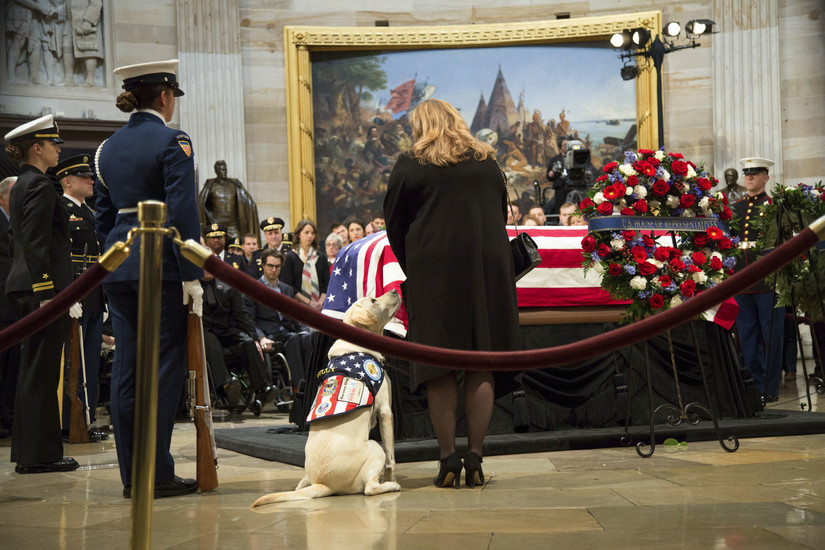 George H.W. Bush’s service dog, Sully, pays his respects. (Department of Defense )