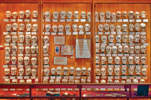 Mutter Museum Mutter Museum