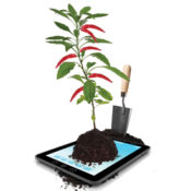 Plant growing out of iPad.