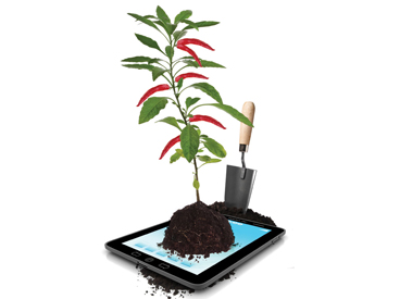 Plant growing out of iPad.