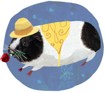 Guinea pig wearing a hat and carrying a rose in his teeth