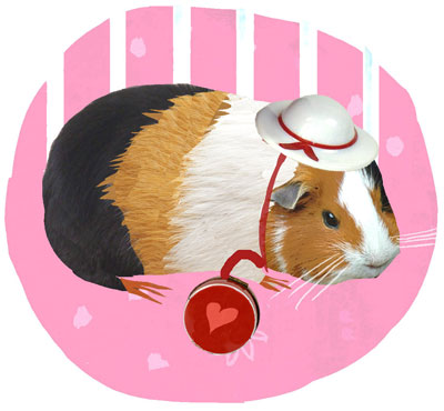 Guinea Pig wearing a hat and carrying a ball.