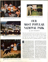illustration_20090618_smoky_mnts Our Most Popular National Park