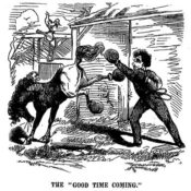 A man boxing a horse. The horse has boxing gloves tied to his hooves.