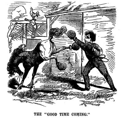 A man boxing a horse. The horse has boxing gloves tied to his hooves.