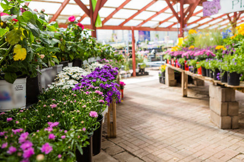 An outdoor gardening section of a department store.