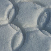 Olympic Rings drawn in the snow