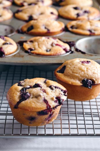 Blueberry Muffins