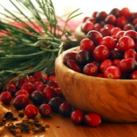 Bowl of Cranberries