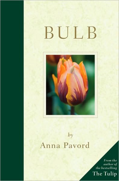 photo_2009_12_12_bulb_by_anna_pavord
