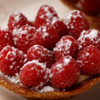 Berry Topped Pudding Pie