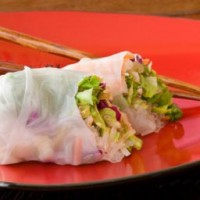 A pair of spring rolls on a scarlet plate