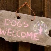 A door sign that reads "Dogs Welcome".