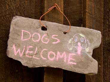 A door sign that reads "Dogs Welcome".