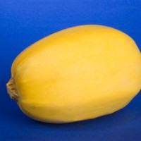 A large squash