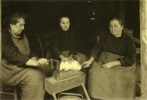 Walker sisters ginning cotton