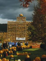 Thousands of pumpkins make up the Keene Pumpkin Festival's Pumpkin Tower.
