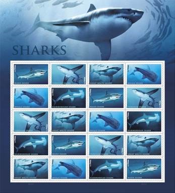 Collection of Shark Stamps