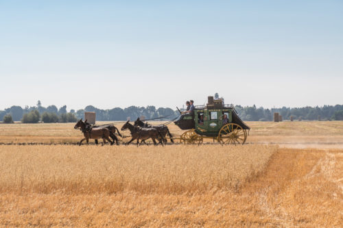 In a Word: Riding Coach | The Saturday Evening Post