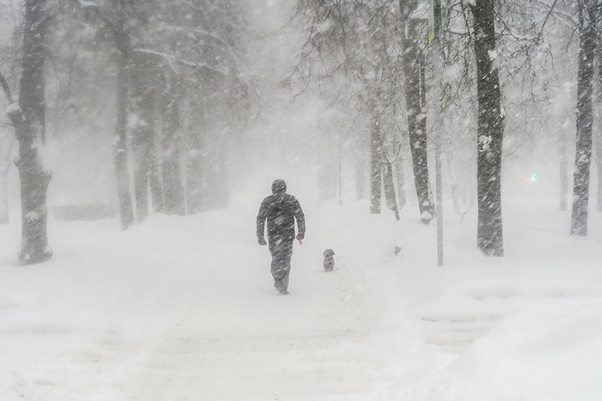 News of the Week: The Blizzard of ’26, TV for Dogs, and the Great Peanut Butter Cup Controversy