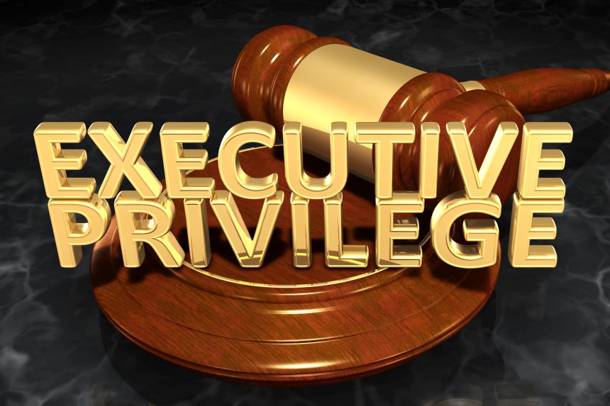 Why Does Executive Privilege Exist