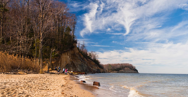 Beach and cliffs on the Chesapeake Bay at Calvert Cliffs State Park, Maryland.
