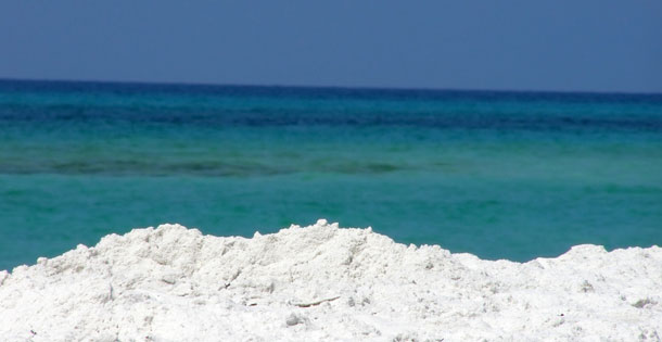 Beach along the Gulf of Mexico