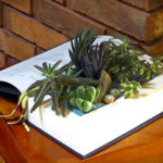succulent arrangement planted in book
