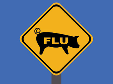 truth about swine flue