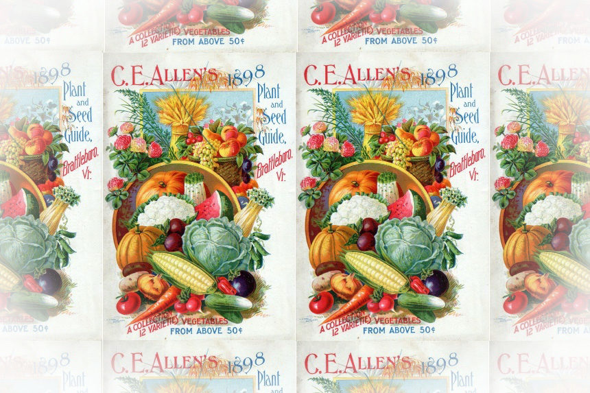 Packages of fruit and vegetables