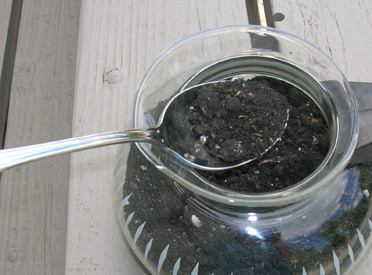 Placing dirt into coffee pot.