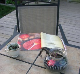 Coffee-Pot Terrarium