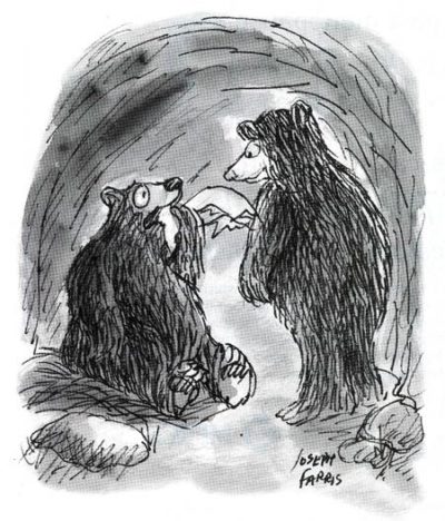 Two bears talk in a cave