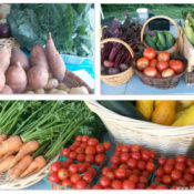 fresh produce in baskets