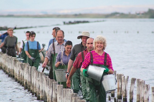 Volunteer Vacations, Photo Courtesy of BTCV Photos.